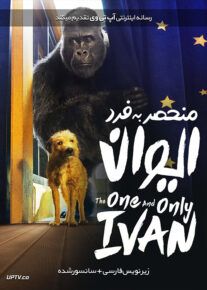 دانلود فیلم The One and Only Ivan 2020 ایوان منحصر به فرد با زیرنویس فارسی