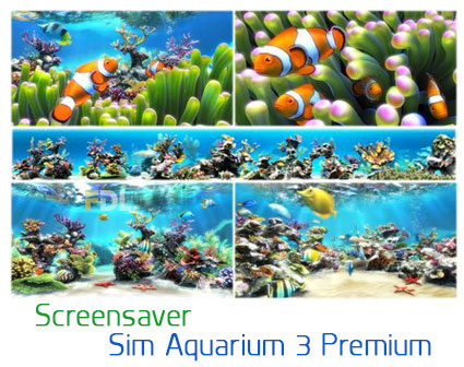 اسکرین سیور سه بعدی آکواریوم - Sim Aquarium III Premium