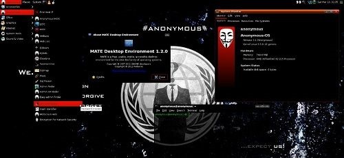  دانلود سیستم عامل امنیتی Anonymous0.1 